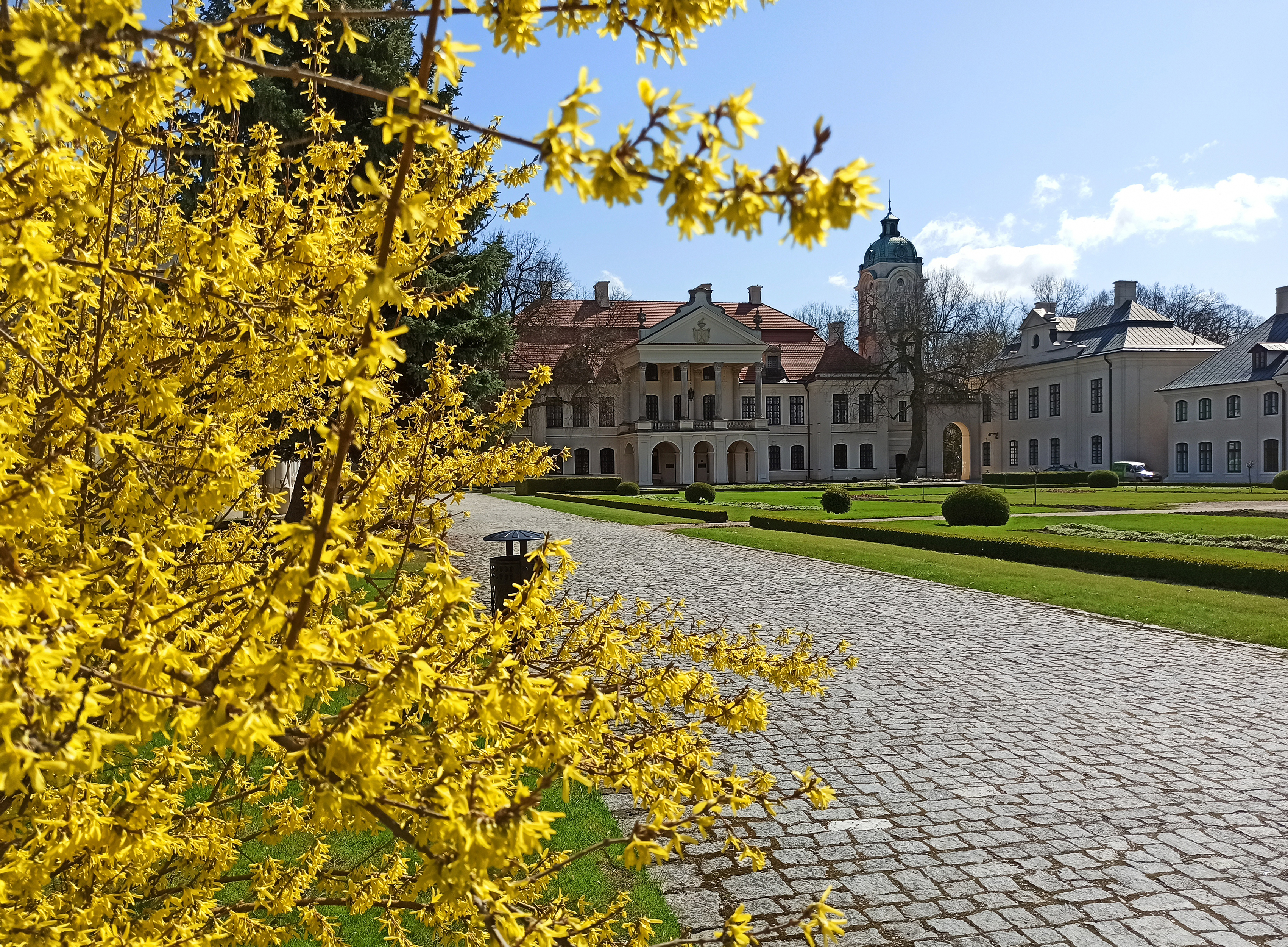 Dziedziniec wiosną